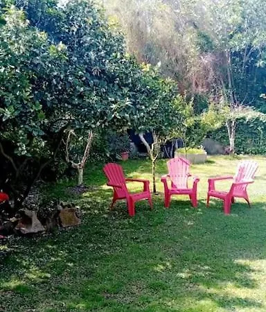 Calvi Avec Grand Jardin.